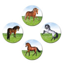 Magnetic pinboard Horses at a gallop 40x30 cm incl. 4 magnets