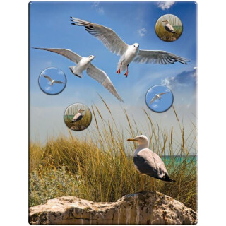Magnetic pinboard Seagulls 40x30 cm incl. 4 magnets