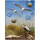 Magnetic pinboard Seagulls 40x30 cm incl. 4 magnets