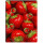 Motiv Magnetpinnwand Erdbeeren 40x30 cm inkl. 4 Magnete