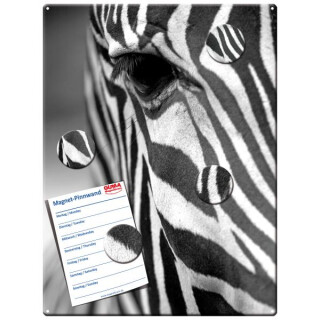 Motiv Magnetpinnwand Zebra 40x30 cm inkl. 4 Magnete