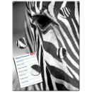 Magnetic pinboard Zebra 40x30 cm incl. 4 magnets