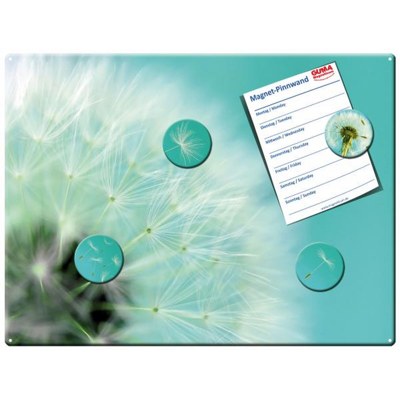 Magnetic pinboard Dandelion 40x30 cm incl. 4 magnets