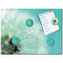 Magnetic pinboard Dandelion 40x30 cm incl. 4 magnets