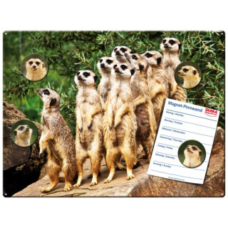 Magnetic pinboard Meerkats 40x30 cm incl. 4 magnets