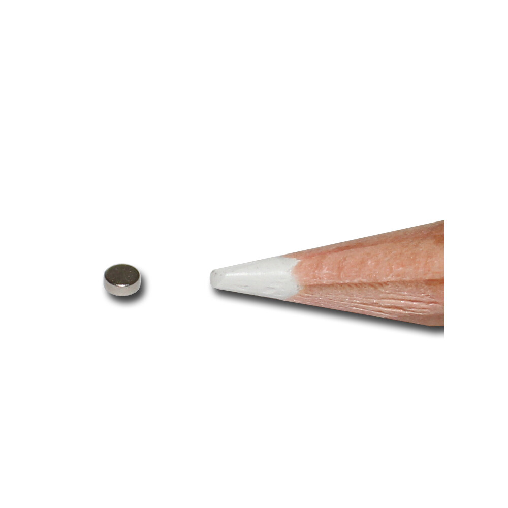 Neodymium Magnets 2,5x1 N52 - pull force 170 g -