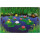 Magnetic pinboard Frog Pond 60x40 cm incl. 8 magnets