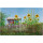 Magnetic pinboard Garden Arbour 60x40 cm incl. 8 magnets