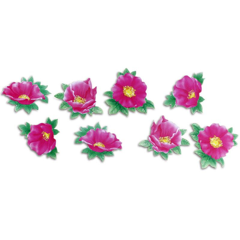 Pinboard Magnets Wild Roses Set with 8 pcs.
