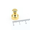 Neodym Kegelmagnete aus Stahl Ø12x16 mm GOLD -...
