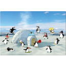 Motiv Magnetpinnwand Pinguin Eisparty 60x40 cm inkl. 8...