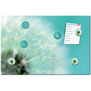 Magnetic pinboard Dandelion 60x40 cm incl. 6 magnets