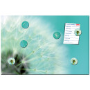 Magnetic pinboard Dandelion 60x40 cm incl. 6 magnets