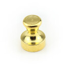 Neodym Kegelmagnete aus Stahl Ø16x20 mm GOLD -...