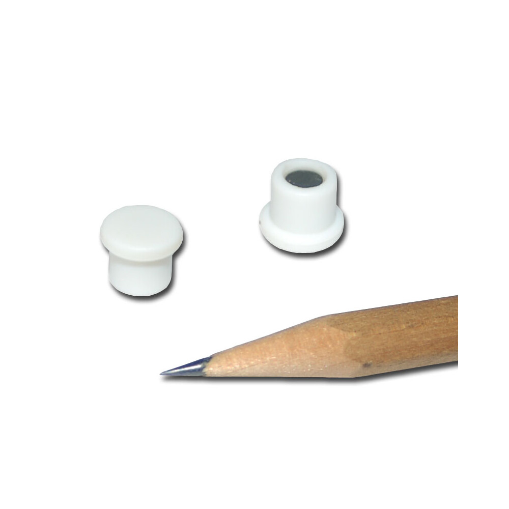 Pinboard Magnets 10x8 mm Neodymium