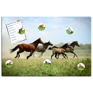 Magnetic pinboard Horses at a gallop 60x40 cm incl. 6 magnets