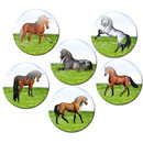 Motiv Magnetpinnwand Pferde im Galopp 60x40 cm inkl. 6 Magnete