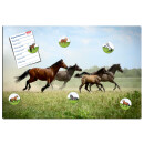 Magnetic pinboard Horses at a gallop 60x40 cm incl. 6...