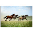 Motiv Magnetpinnwand Pferde im Galopp 60x40 cm inkl. 6...