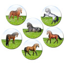 Magnetic pinboard Horses at a gallop 60x40 cm incl. 6 magnets