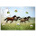 Magnetic pinboard Horses at a gallop 60x40 cm incl. 6 magnets