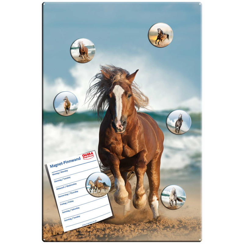 Motiv Magnetpinnwand Pferd am Meer Ocean Horse 60x40 cm inkl. 6 Magnete