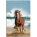 Magnetic pinboard Ocean Horse 60x40 cm incl. 6 magnets