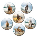 Magnetic pinboard Ocean Horse 60x40 cm incl. 6 magnets