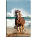 Motiv Magnetpinnwand Pferd am Meer "Ocean Horse" 60x40 cm inkl. 6 Magnete