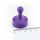 Neodymium Pinboard Magnets big Ø29x38 mm - Purple