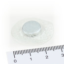 Neodymium Magnets Ø12x2 NdFeB N40 in a round PVC case