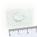 Neodymium Magnets Ø12x2 NdFeB N40 in a square PVC...