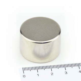 Neodymium Magnets 30x20 NdFeB N45 - pull force 38 kg